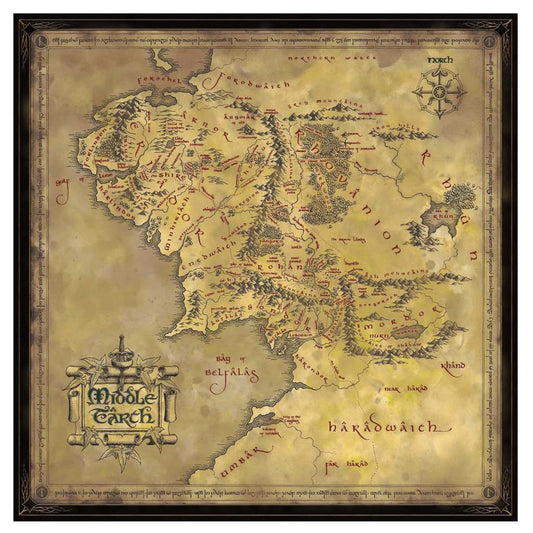 Puzzle Terra Di Mezzo Lord of the Ring Noble Collections 58x58cm 1000pz